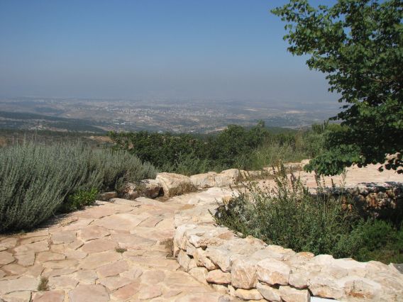 הנוף מהטיילת